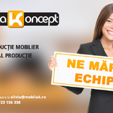 Proiectant mobilier Sector 6, Bucuresti